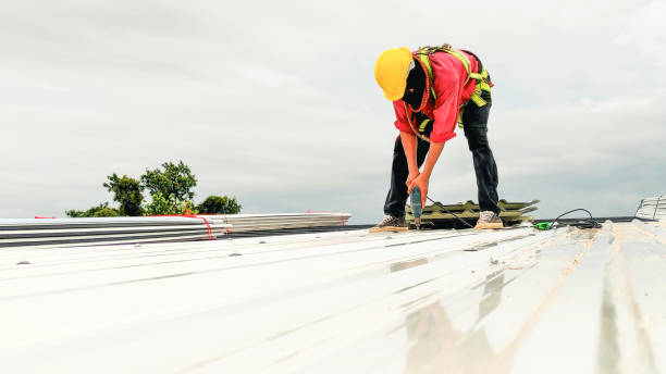Best Skylight Installation and Repair  in Columbus, GA